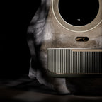 The Shadow Capsule