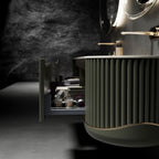 The Shadow Capsule