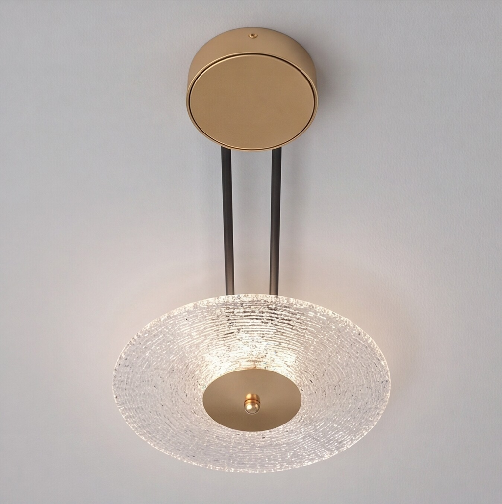 The Suspended Pendulum