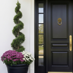 Grand Double with Sidelights